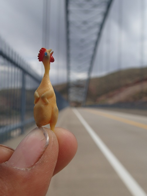 Micro Chicken crosses the Roosevelt Bridge