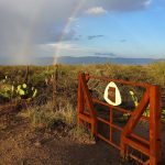 Arizona Trail Double Rainbow